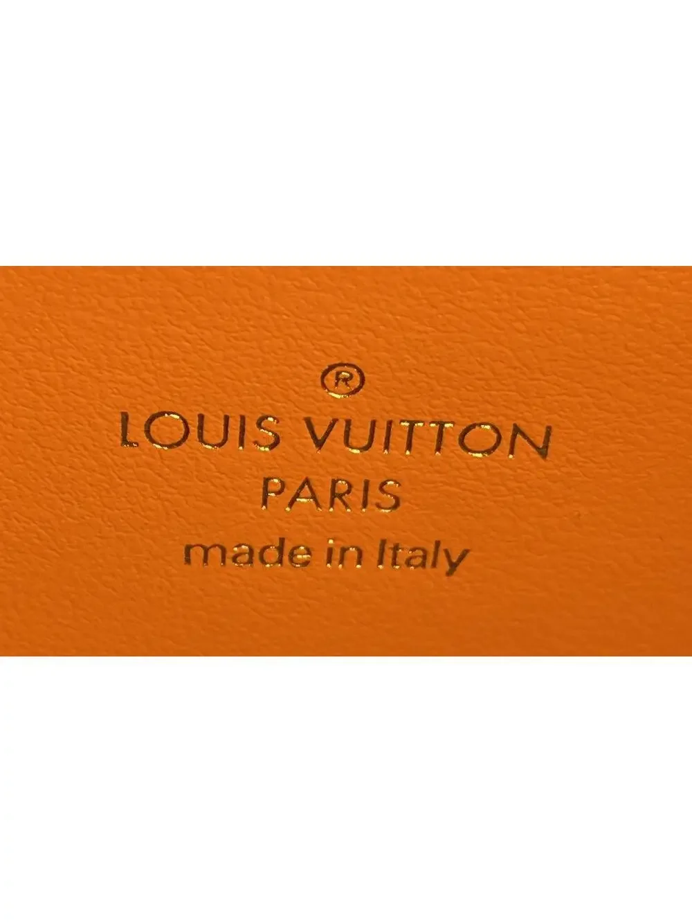 Louis Vuitton Lv Pont 9 Bag Leather #227797L24B